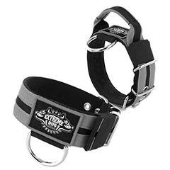 Collars by Extreme Dog Gear