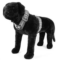 Harnesses by Extreme Dog Gear