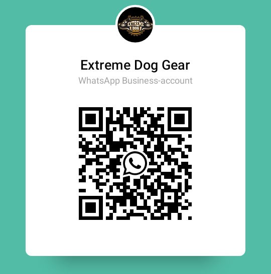 Gear whatsapp cheap