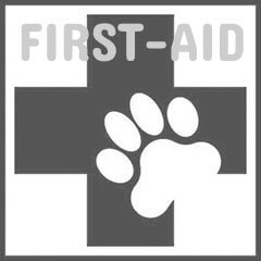 K9 first aid