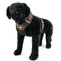 Dog harness 2 inch brown by extreme dog gear