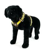 Custom Dog Sport harness Black Yellow Stripe