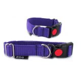 EDG dog collar with name purple