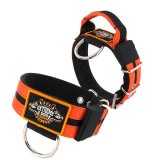 Double Orange custom dog collar 2 inch 5cm with handle extreme dog gear