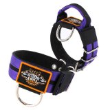 Double Purple custom dog collar 2 inch 5cm with handle extreme dog gear