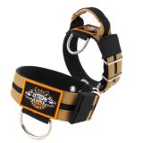 Double Sand custom dog collar 2 inch 5cm with handle extreme dog gear