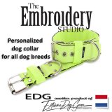 Fluor Standard or Personalized Embroidered Dog Collar 2 inch - 5cm