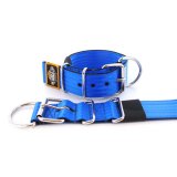 Kennel collar blue