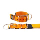 orange seat belt kennel dog collar