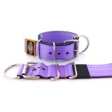 purple seat belt kennel dog collar