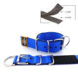 blue seat belt kennel keeper dog collar