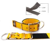 pumpkin seat belt kennel keeper dog collar