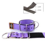 purple seat belt kennel keeper dog collar