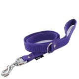 EDG dog lead purple