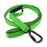 Apple green carabiner swivel twist lock dog leash