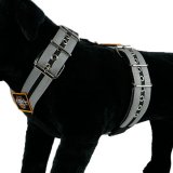 Custom Dog Sport harness Double Grey