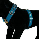 Custom dog harness 1.6 inch Blue Sky by extreme dog gear