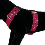 Bubble Gum color dog harness by extreme dog gear