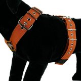 Dog Sport harness Copper Brown