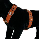 Dog Sport harness Copper Brown 1.6inch - 4cm