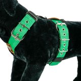 Dog Sport harness Emerald