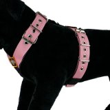 Dog Sport harness Flamingo 1.6inch - 4cm