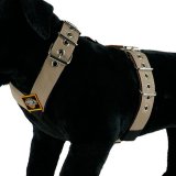 Dog Sport harness Hazelnut 1.6inch - 4cm