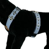 Dog Sport harness Pastel Blue 1.6inch - 4cm