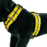 Custom Dog Sport harness Double Yellow