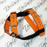 Dog Sport harness Orange