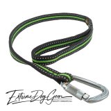 reflection strong dog leash green lead