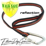 reflective dog leash orange lead