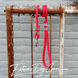 dog rope leash red