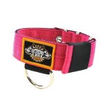 hot pink 1.6 inch heavy duty dog collar