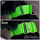 martingale collar large size breed