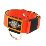 orange 1.6 inch dog collar heavy duty