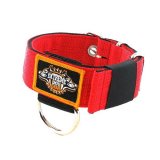 Heavy duty canine collar red