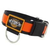 orange stripe dog collar