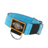 Heavy duty canine collar turquoise