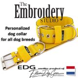 EDG personalized dog collar Yellow