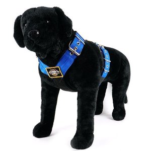 Dog harness 2 inch blue by extreme dog gear