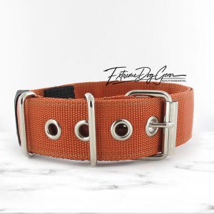 copper brown 1.6 inch dog collar