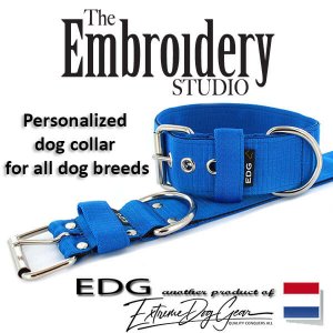 Dutch Blue Standard or Personalized Embroidered Dog Collar 2 inch - 5cm