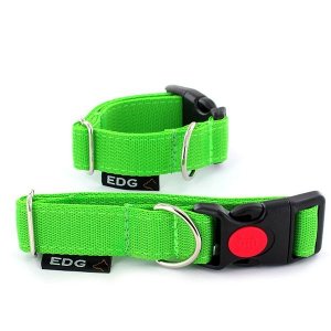 Apple green Personalized Embroidered Dog Collar 1 inch - 2.5cm