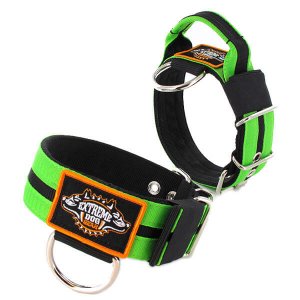 Double Apple Green custom dog collar 2 inch 5cm with handle extreme dog gear