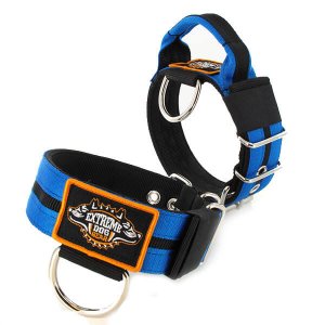 Double Blue custom dog collar 2 inch 5cm with handle extreme dog gear