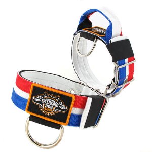 Dutch Flag custom dog collar 2 inch 5cm with handle extreme dog gear