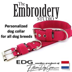 Fuchsia Standard or Personalized Embroidered Dog Collar 2 inch - 5cm