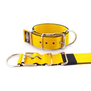 pumpkin seat belt kennel dog collar