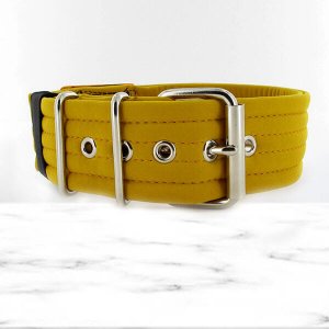 softshell mustard extreme dog collar